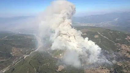 Muğla'da ziraat alanında başlayan yangın ormana sıçradı