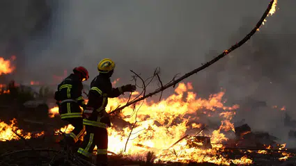 Fransa'da orman yangınları büyüyor: 220 binden fazla kişi tahliye edildi