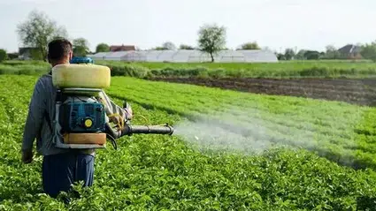 Pestisitler için alarm veren araştırma: Her yıl 400 milyondan fazla çiftçi zehirleniyor