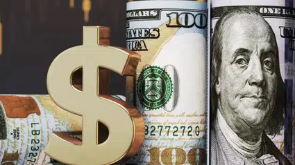 Hesabına yanlışlıkla 1 milyon dolar yatırıldı: İade etmek yerine hapsi seçti