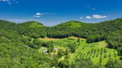 2B arazilerinde tapu umudu yeniden doğdu: Başvuru kaçıranlara ek süre geliyor
