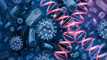 Sessiz pandemi kapıda: Candida auris dünyayı alarma geçirdi