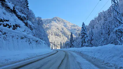 Kar, Doğu Karadeniz'de ulaşım krizine yol açtı:  525 yerleşim yerine gidilemiyor
