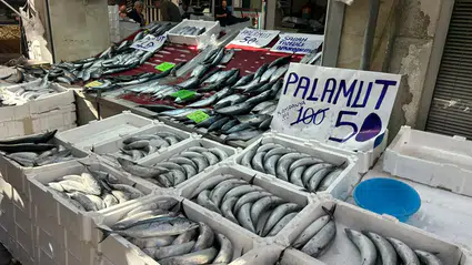 Karadeniz'de palamut bereketi: İnebolu'da fiyatlar dibi gördü