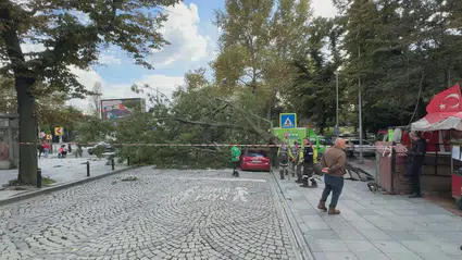 Harbiye'de ağaç dehşeti: Park halindeki araç hurdaya döndü