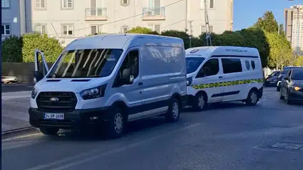Ümraniye'de korkutan keşif: Ağaçlık alanda el bombası çıktı