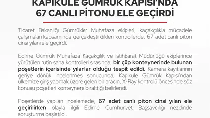 Kapıkule'de şoke eden keşif: Çöp konteynerinden 67 canlı piton çıktı
