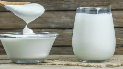 Yoğurt ve ayran ambalajlarında yeni dönem: İki ifade artık kullanılamayacak
