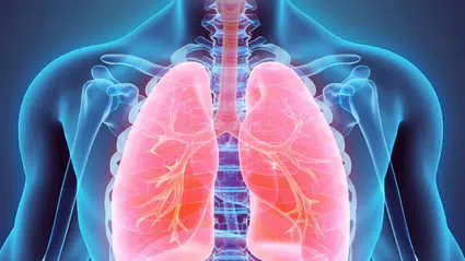 Uzmanından sağlıklı nefes için beslenme uyarısı: Akciğerleri koruyan 10 besin grubu