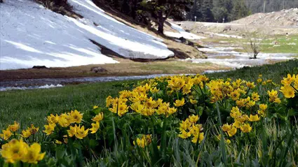 İlk cemre ne zaman düşecek? 2026 cemre düşme tarihleri belli oldu