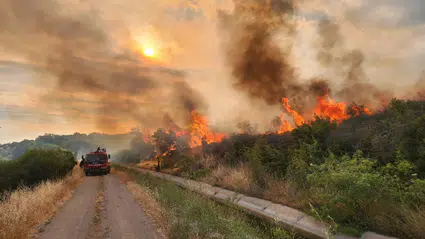 Çanakkale'de orman yangını riskine karşı hasat yasağı