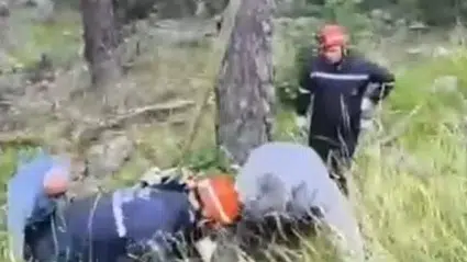 Uçurumdaki inek vinçle kurtarıldı