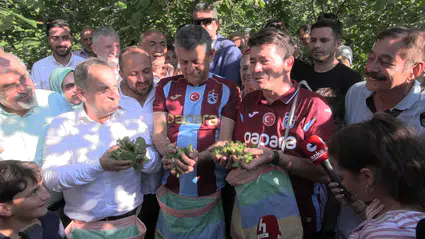 Özgür Özel: Fındık dalında kalıyor, üretici toplamıyor