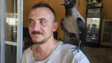 Narlıca Mahallesi'nde karga ile insan arasındaki sıra dışı dostluk