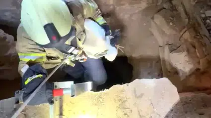 Avcılar’da kuyuya sıkışan leylek merdivenli operasyonla özgürlüğüne kavuştu
