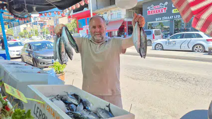 Alaplı’da sezonun ilk palamutları tezgâhları doldurdu