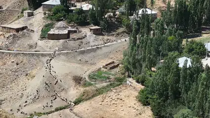 Yüksekova’da yayla yaşamını zorlaştıran su sorunu 30 yıldır sürüyor