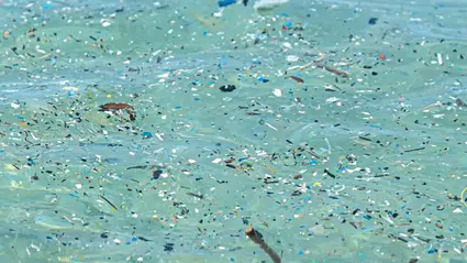 Plastik krizinde tehlike çanları: 2060 projeksiyonu korkutuyor
