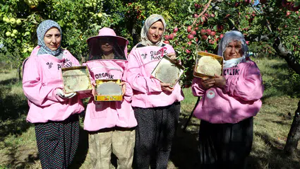 Van'ın dağlarında pembe maskeli hasat: Kadın arıcıların başarısı katlanıyor
