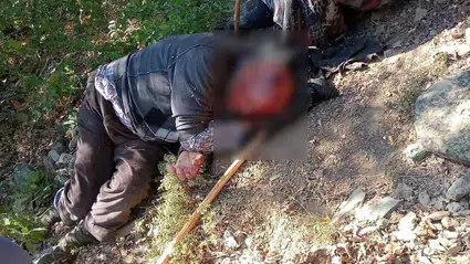Kastamonu'da ormanlık alanda kaza: 30 metrelik uçurumdan düştü