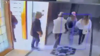 12. kattaki hırsızlık girişimini 'Mucize' engelledi: Şüpheliler kediye yenildi