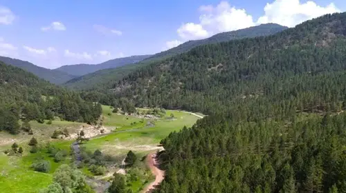 21 ilde bazı alanlar orman sınırları dışına çıkarıldı