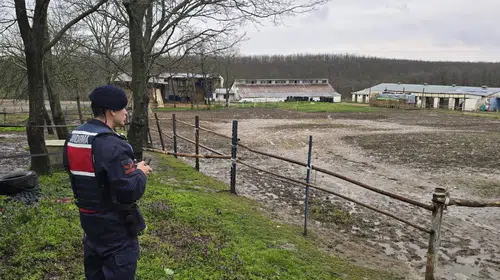 İstanbul’da 306 kilogram at eti ele geçirildi, 3 kişi gözaltında