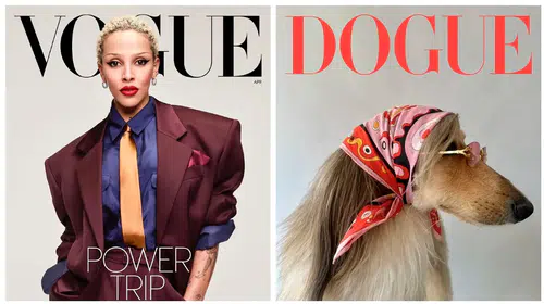 Vogue’dan Dogue’a marka davası: Taklit mi yoksa yaratıcı bir parodi mi?