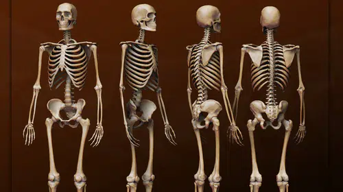 İklim krizi kemik sağlığını tehdit ediyor