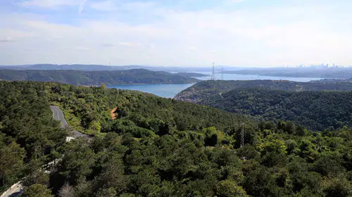 İstanbul'da orman yangınlarına karşı dev tedbir: Ormanlık alanlara girişler yasaklandı