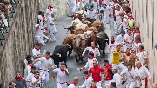 San Fermin'de 8 günlük boğa koşularında 70'ten fazla kişi yaralandı