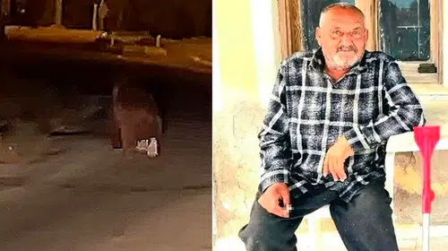 İzmir'de akılalmaz ayı dehşeti: Balkonunda uyuyan yaşlı adam hayatını kaybetti