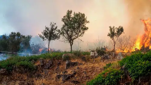 Komşuda alarm durumuna geçildi: Hava sıcaklığı 40 dereceyi aştı, adalar tahliye ediliyor