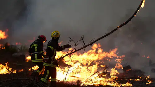 Fransa'da orman yangınları büyüyor: 220 binden fazla kişi tahliye edildi