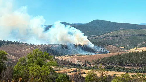 Bakan Gürlek açıkladı: 64 orman yangını soruşturmasında 11 kişi tutuklandı