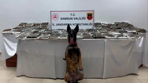 Samsun'da uyuşturucu operasyonu: TIR'a zulalanmış 132 kilo esrar yakalandı
