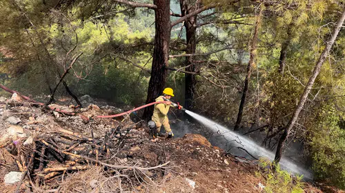 Yunanistan'ın Salamina Adası'nda orman yangını: 2 kişi hayatını kaybetti, 9 yaralı