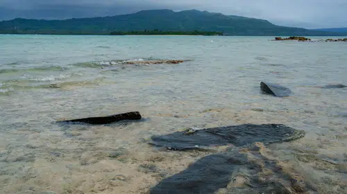 Vanuatu'da feribot faciası: Onlarca yolcudan haber alınamıyor