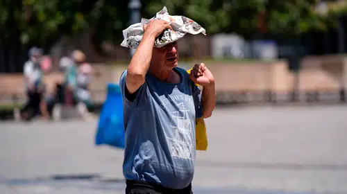 Türkiye iklim krizinin merkezinde: 2024 sıcaklık, 2025 ise kuraklık rekoru kırdı