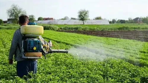 Pestisitler için alarm veren araştırma: Her yıl 400 milyondan fazla çiftçi zehirleniyor
