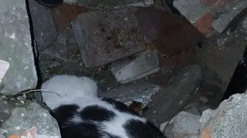 Zonguldak'taki acı yıkımın ardından gelen mucize: Enkaz altından sağ çıktı