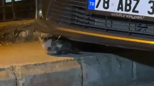 Karabük'te motor kaputundan gelen ses ekipleri harekete geçirdi