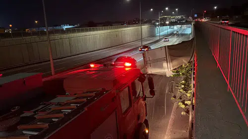 Eskişehir'de kediye çarpmamak için direksiyon kırdı: Tonlarca marul yola saçıldı