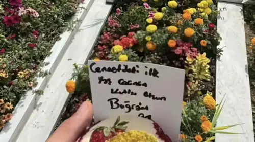 Bağcılar cinayetinin firarisi Çeşme'de kıskıvrak yakalandı: Yunanistan'a kaçacaktı