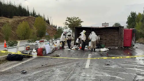Malatya'da arı kovanı taşıyan araç kaza yaptı: 3 yaralı
