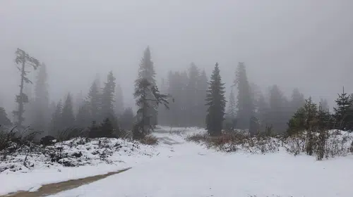 Safranbolu'da mantar mesaisi kar yağışıyla bölündü