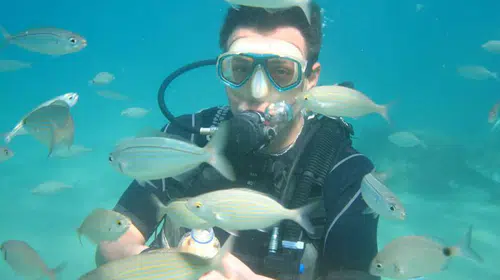 Ege'nin gizli hazinesi: Kuşadası'nda su altı turizmi yükselişte