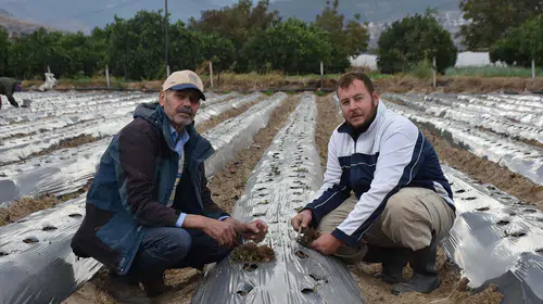 Plazadan tarlaya dönüş: Kurumsal hayatı bırakıp ata mirasını devraldı