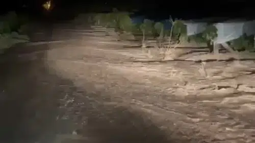 Elazığ'da doğa felaketi: Üzüm bağları sular altında kaldı