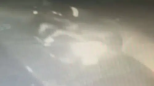 Bağcılar cinayetinin firarisi Çeşme'de kıskıvrak yakalandı